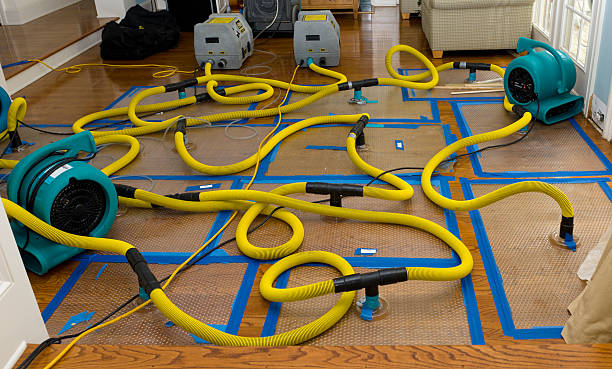 Professional Water Extraction technician working in Scottsmoor, FL